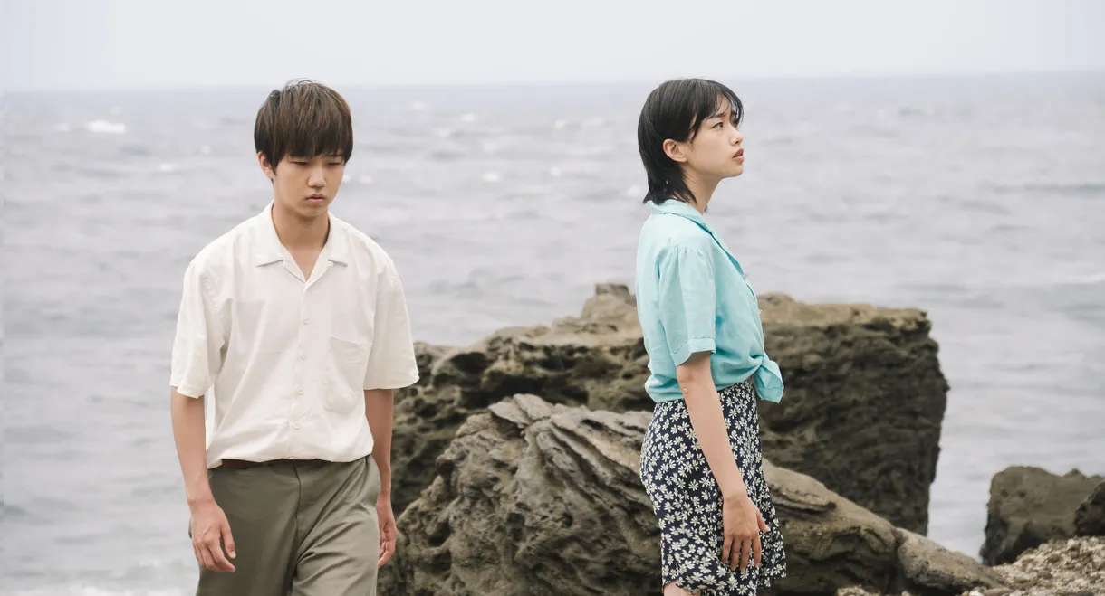 Two Seasons, Two Strangers