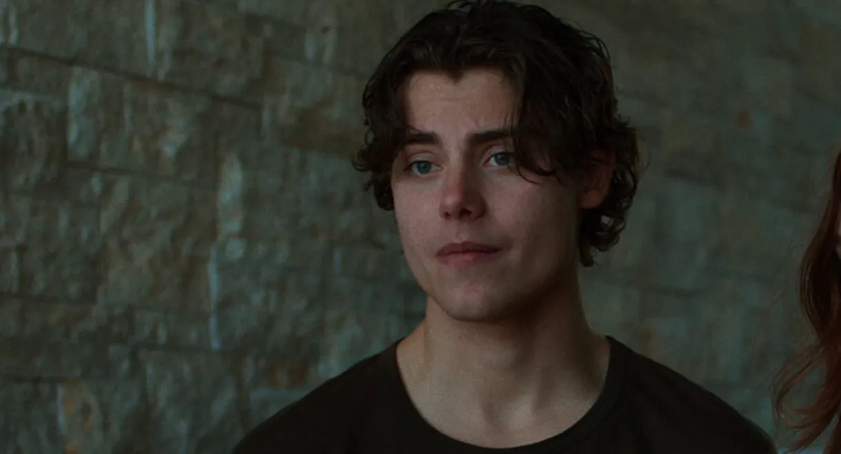 Where Did the Adults Go?