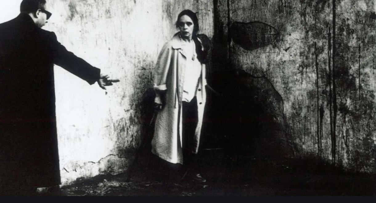 Reflections in a Mirror