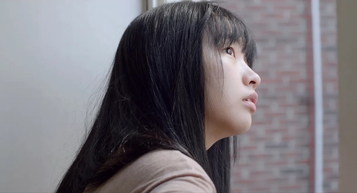 The Transfer Student