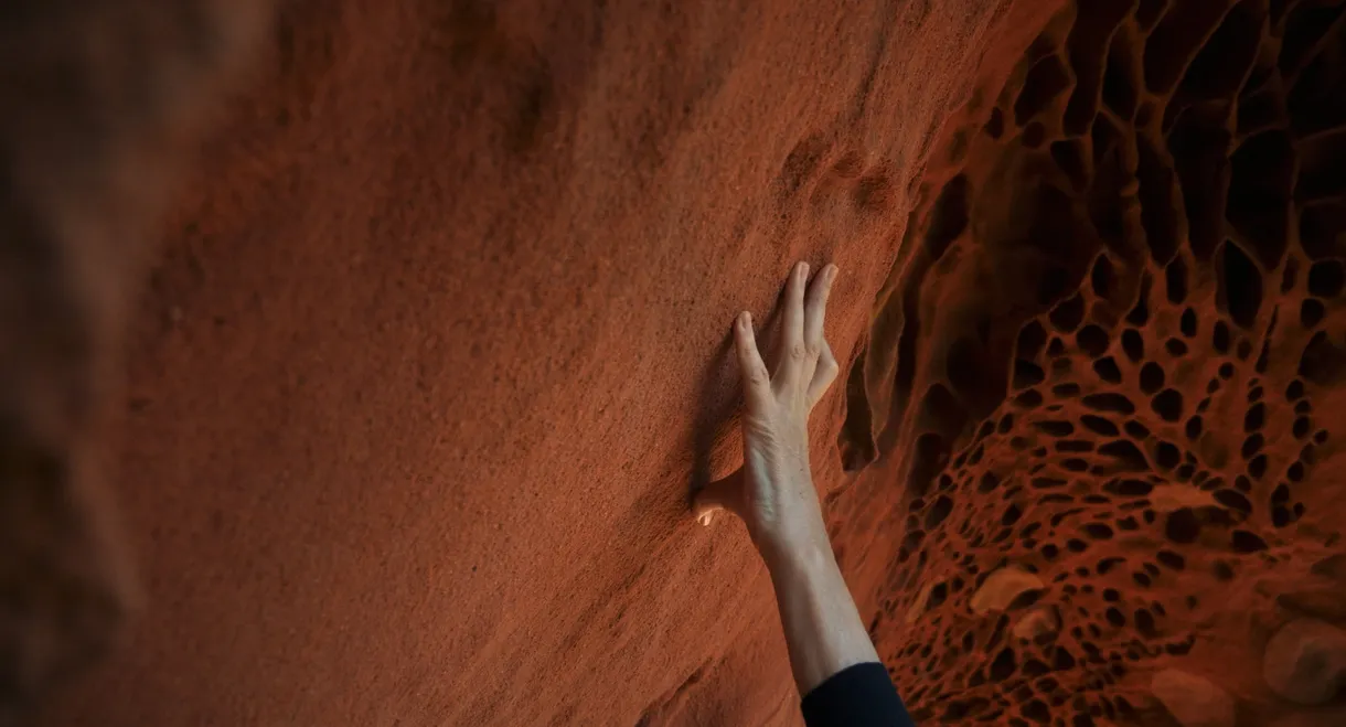 Hondalea: Marine Abyss