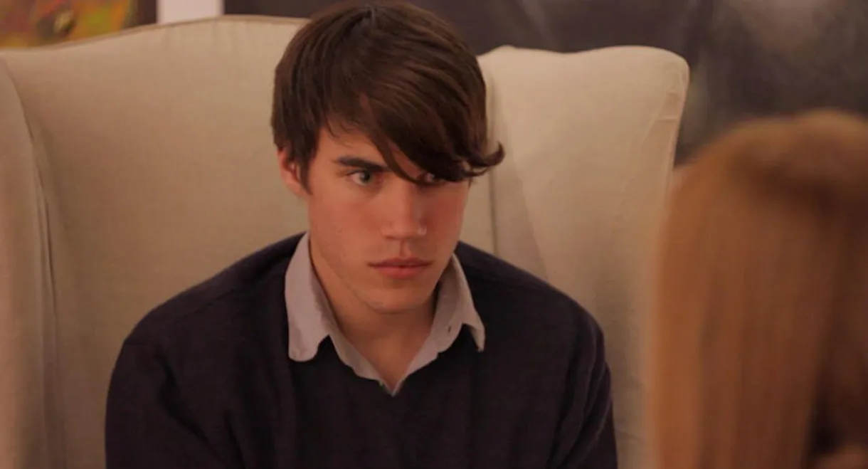 Artifacts of Idealism