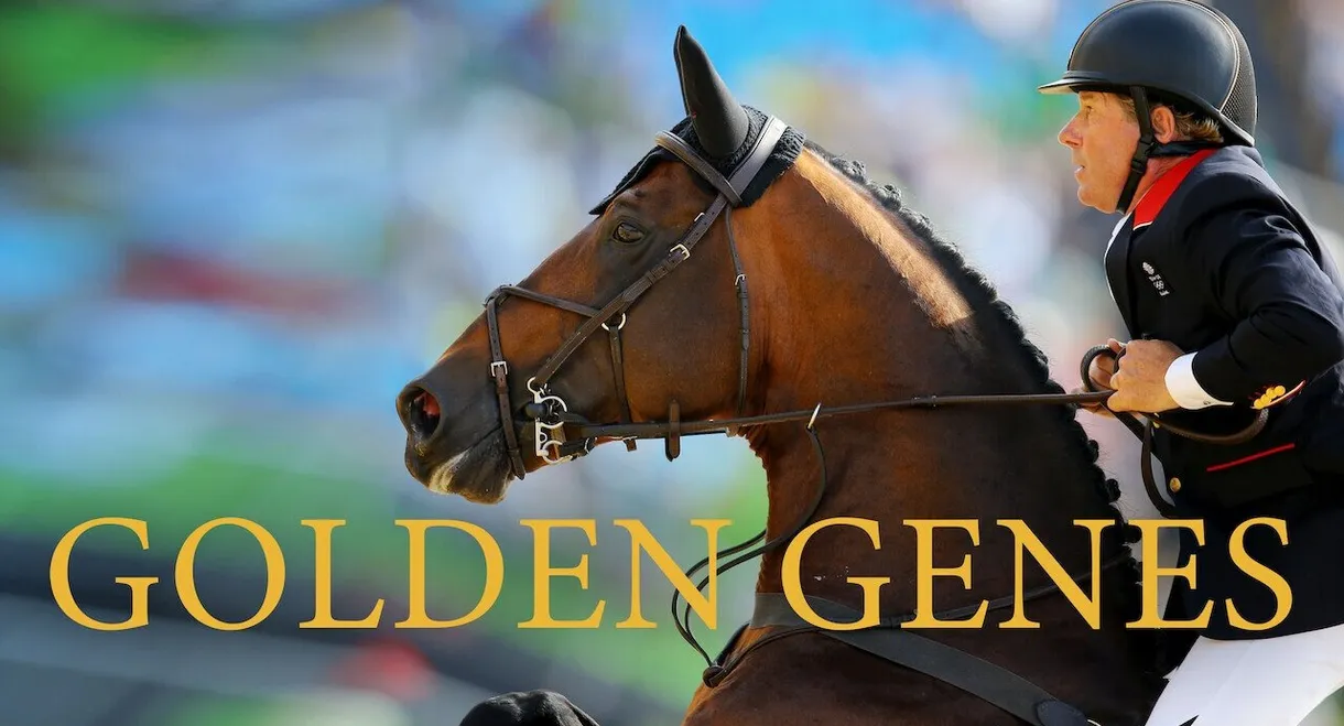 Golden Genes: The secret of Dutch jumpers