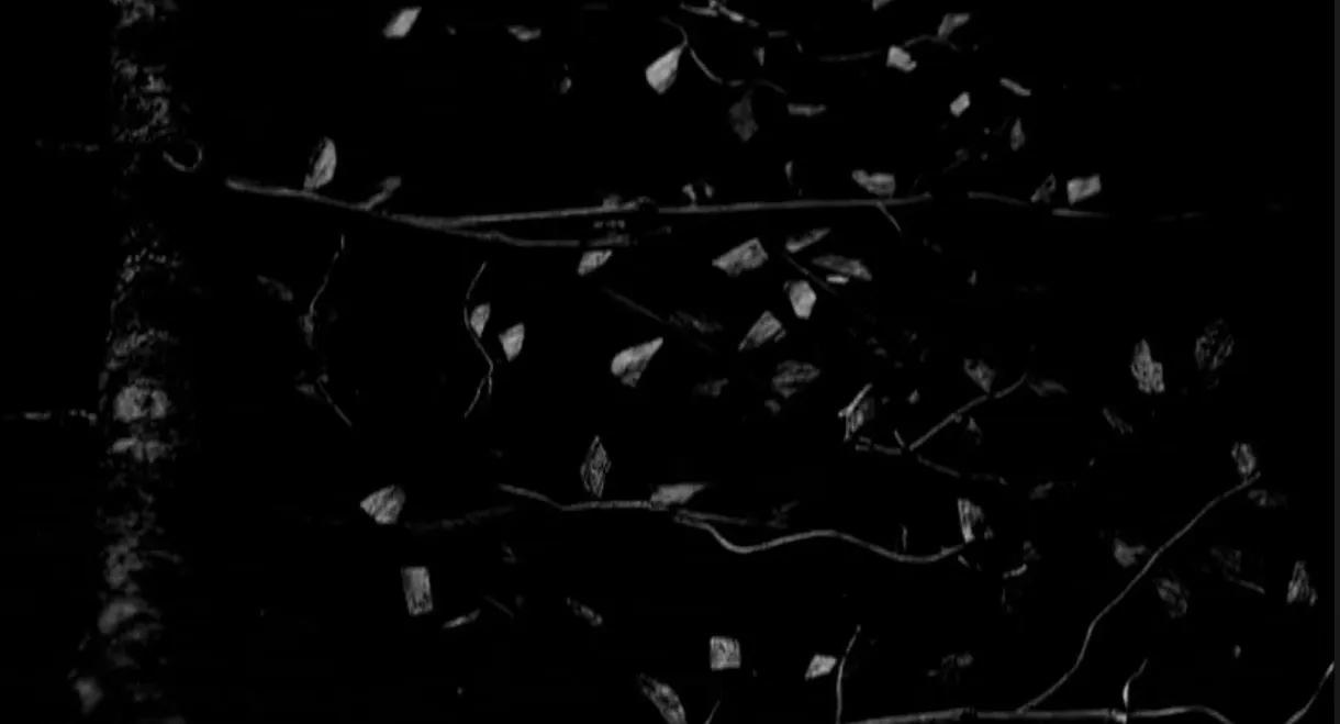 Gojira: Live at Garorock