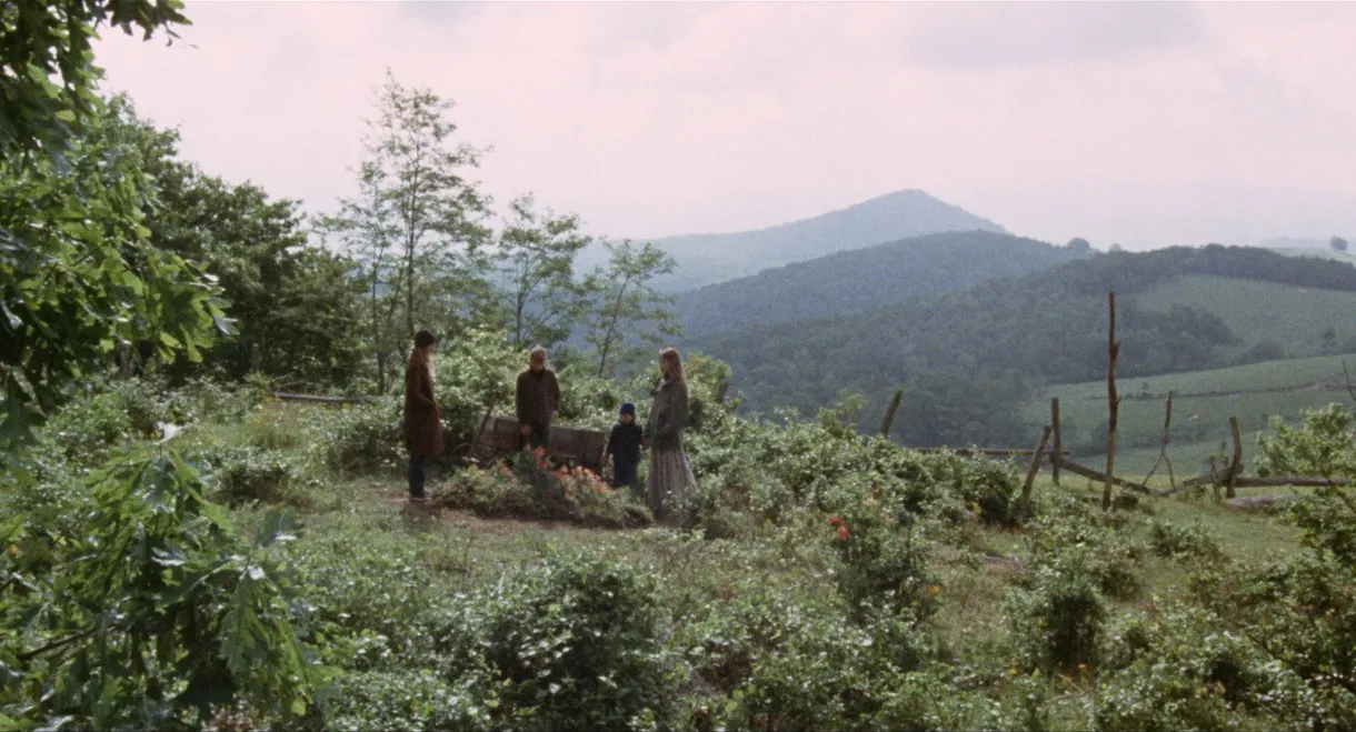 Where the Lilies Bloom