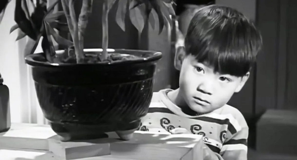 A Mother's Love (Mojeong)