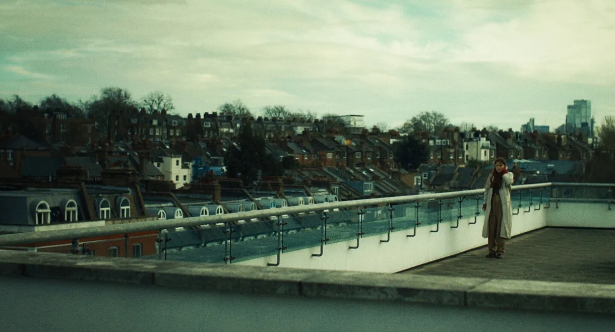 The Fox and the Grapes