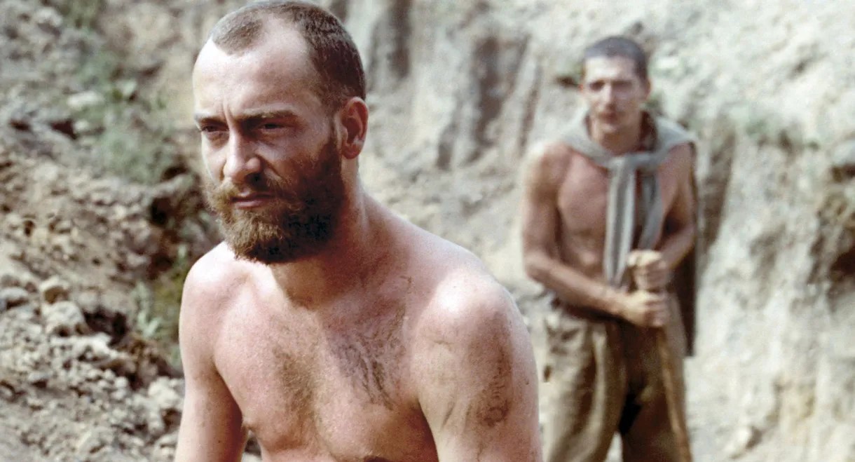 The Woman and the Stranger