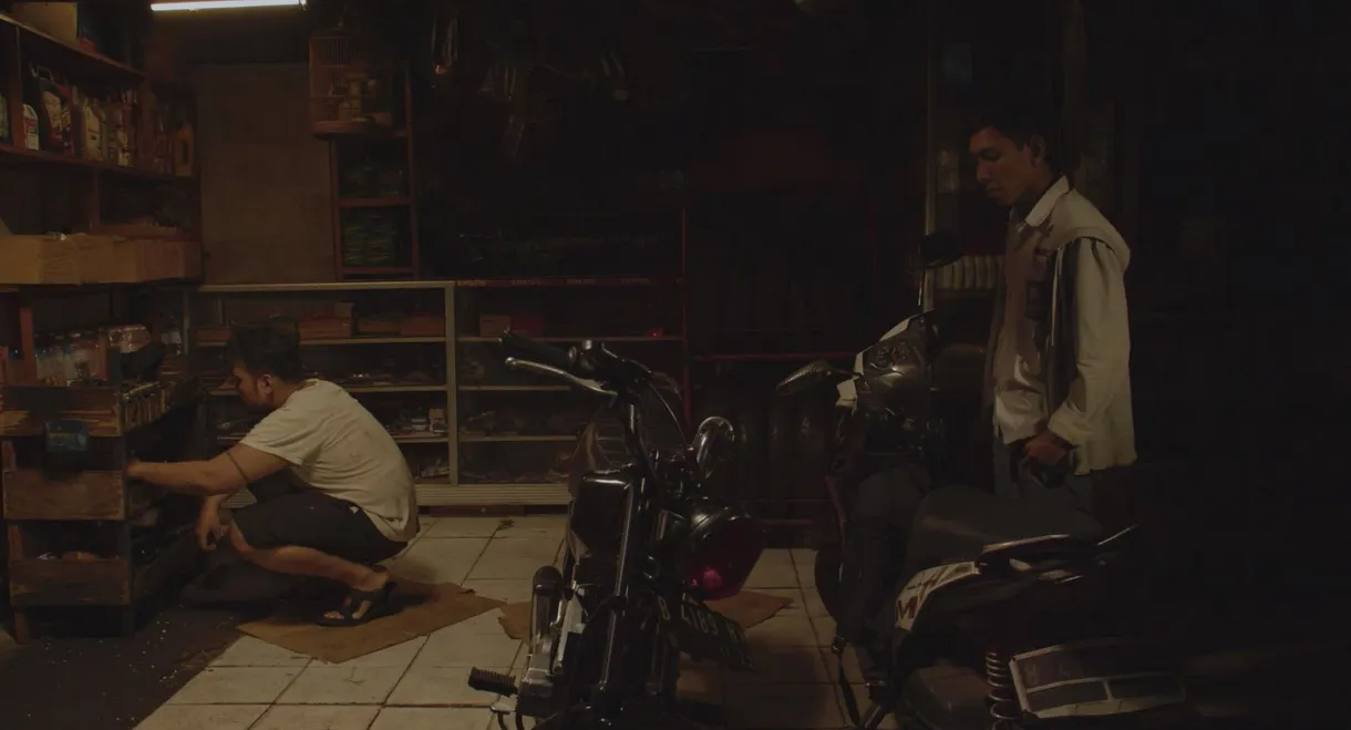 Chorus of the Wounded Birds