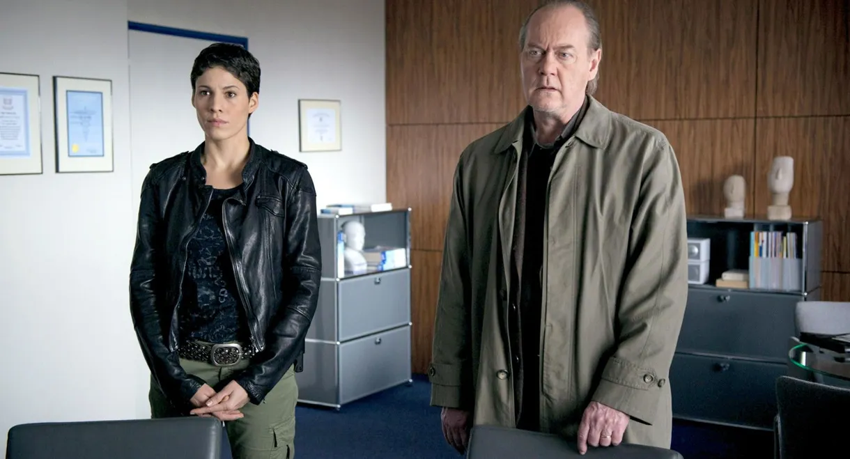 Totenengel - Van Leeuwens zweiter Fall