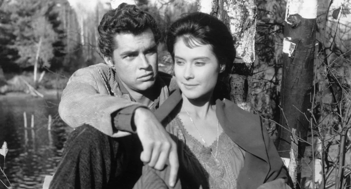 Hemingway’s Adventures of a Young Man