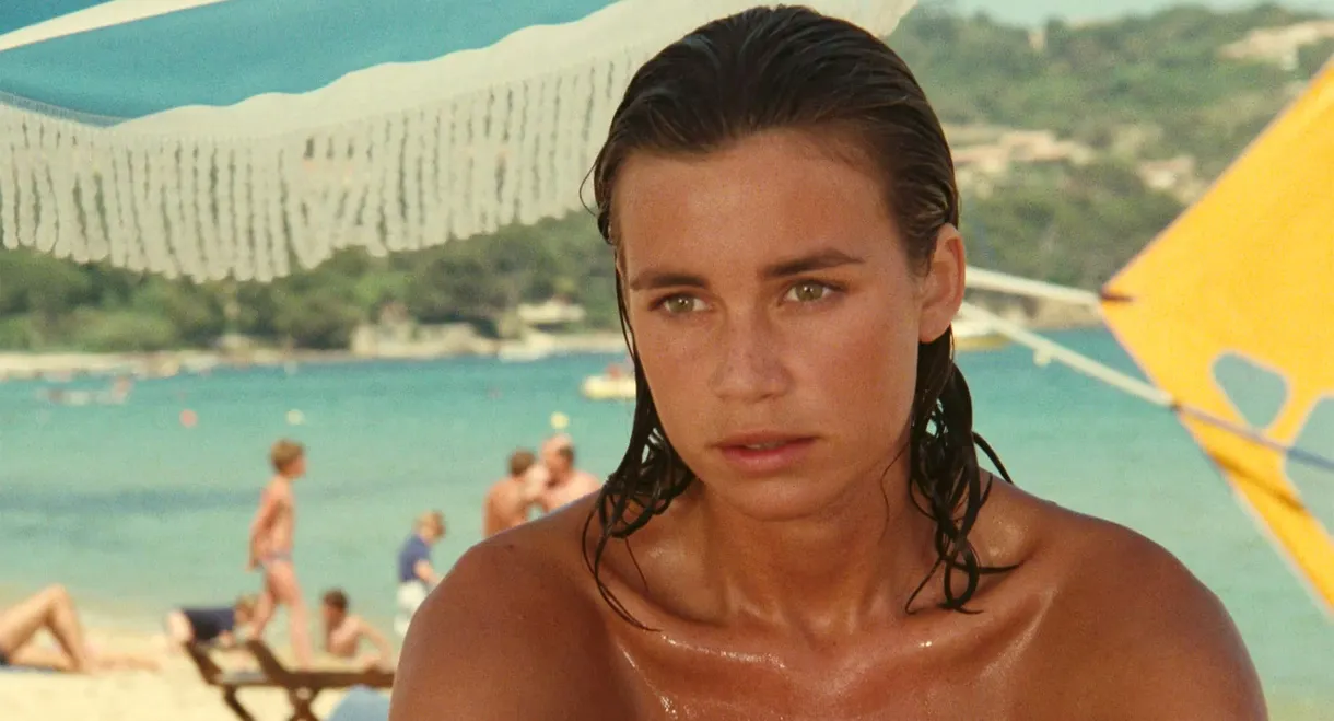 Year of the Jellyfish