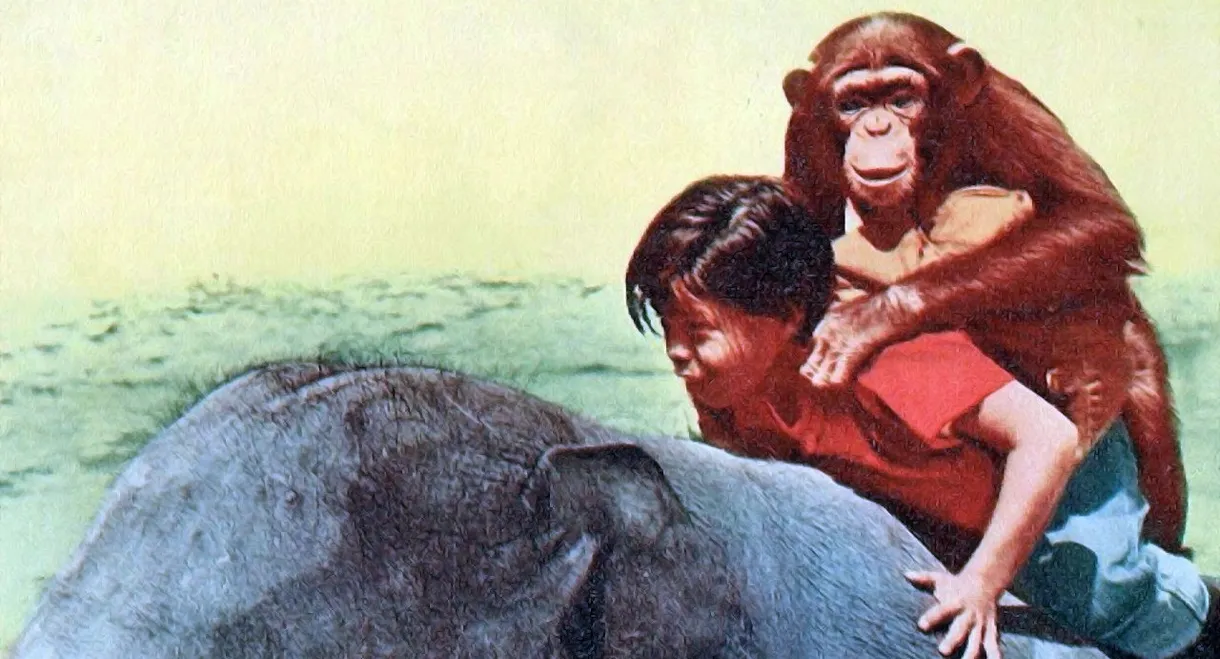 Taffy and the Jungle Hunter