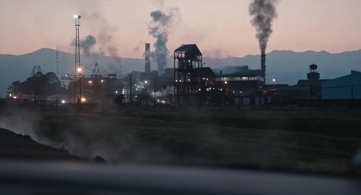 Corporate Accountability