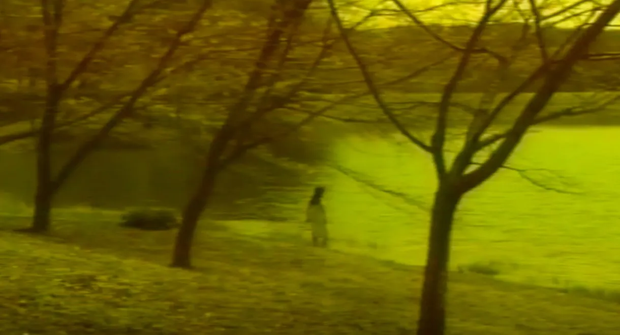 Sensual Forest Beauty