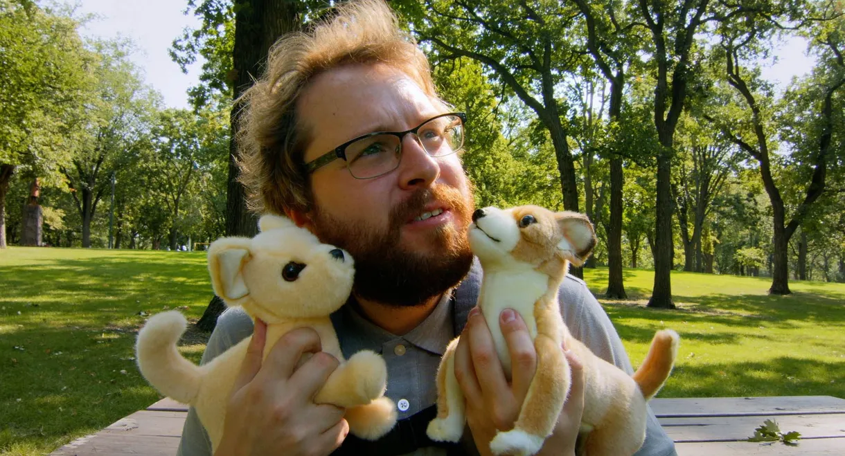 AJ Goes to the Dog Park