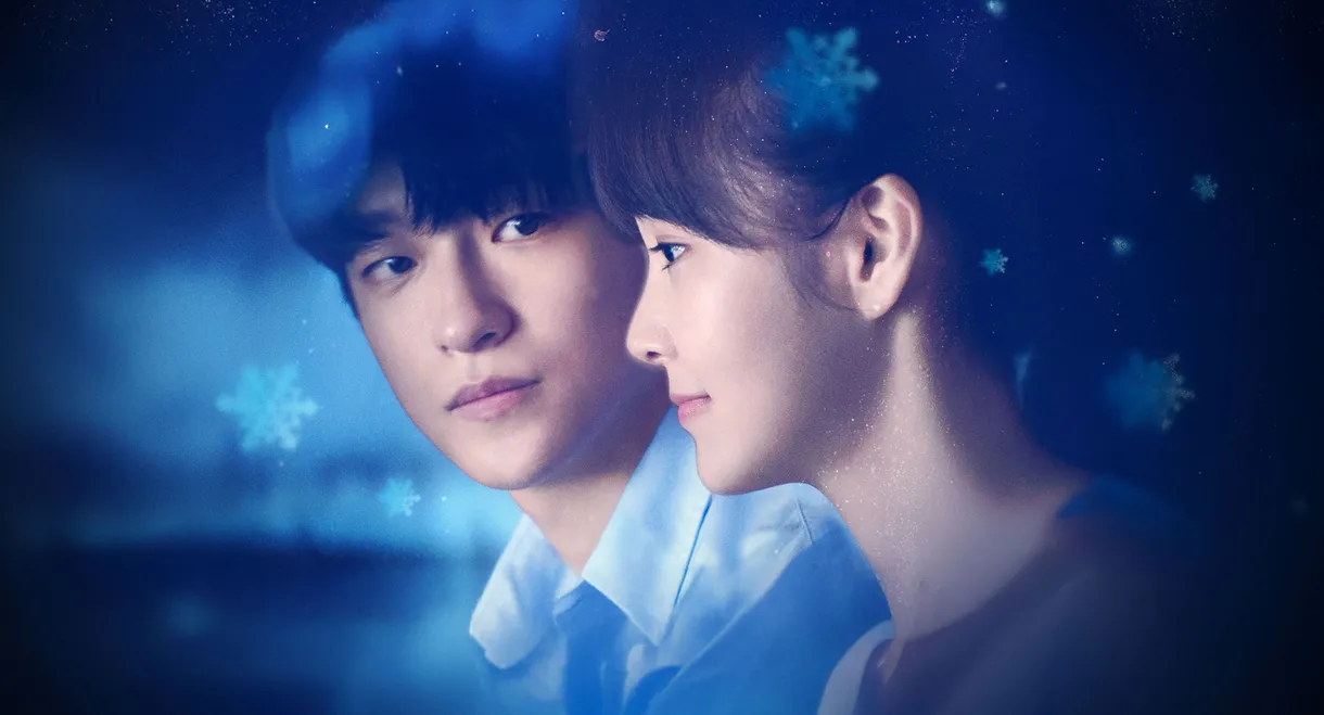 Shining for One Thing