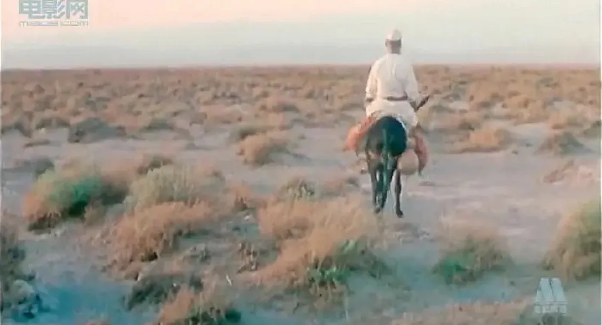 Uncle Kurban Visits Beijing