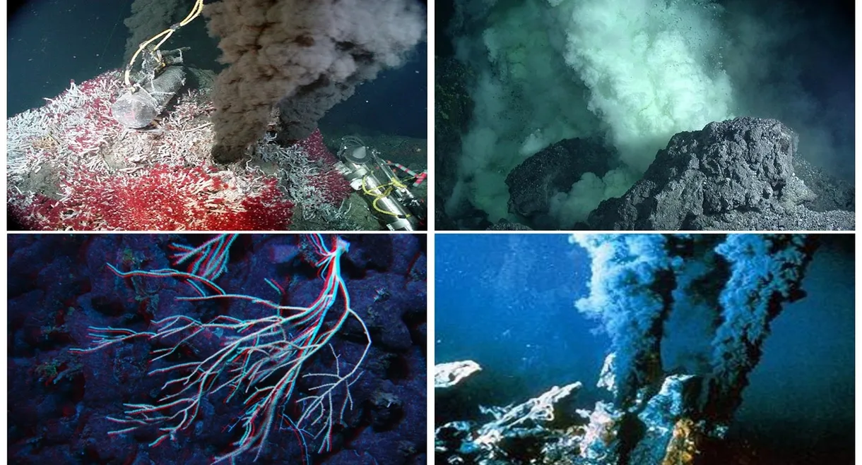 Volcanoes of the Deep Sea