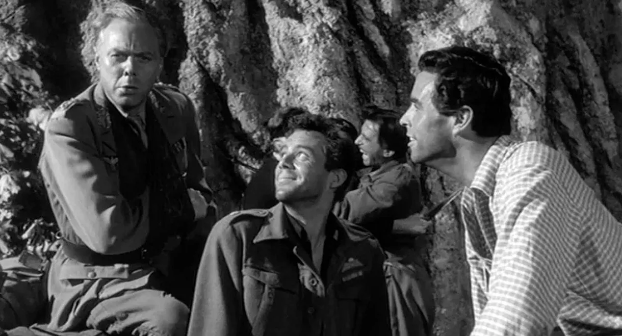 Ill Met by Moonlight