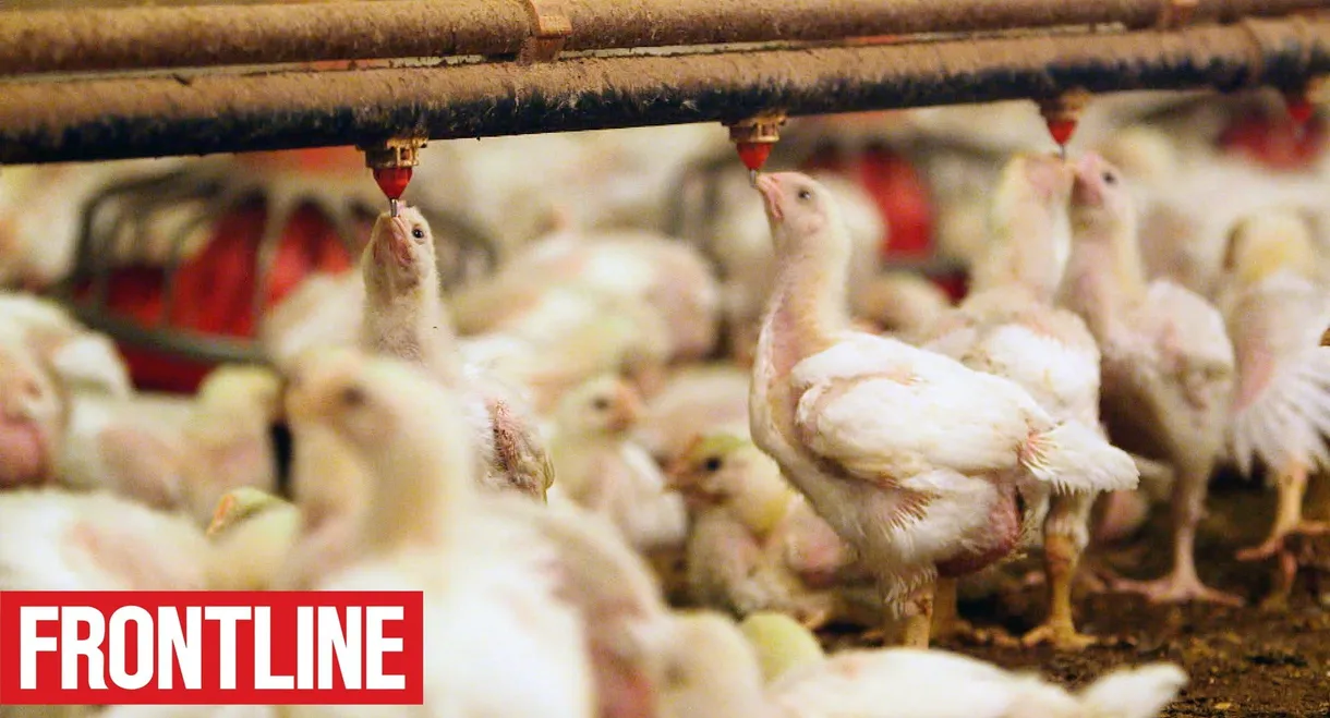 The Trouble with Antibiotics