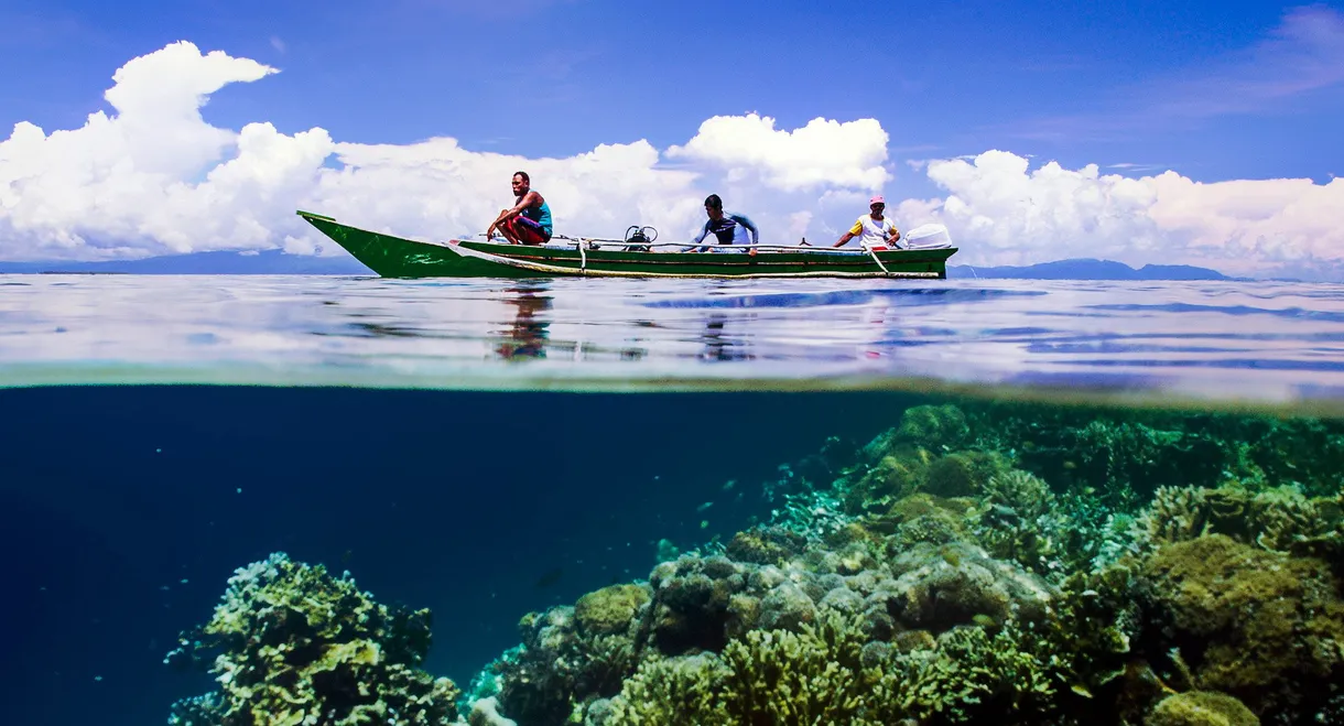 Earth's Natural Wonders