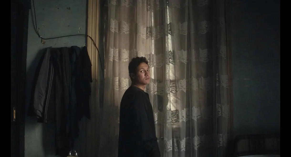 I Am Afraid to Forget Your Face