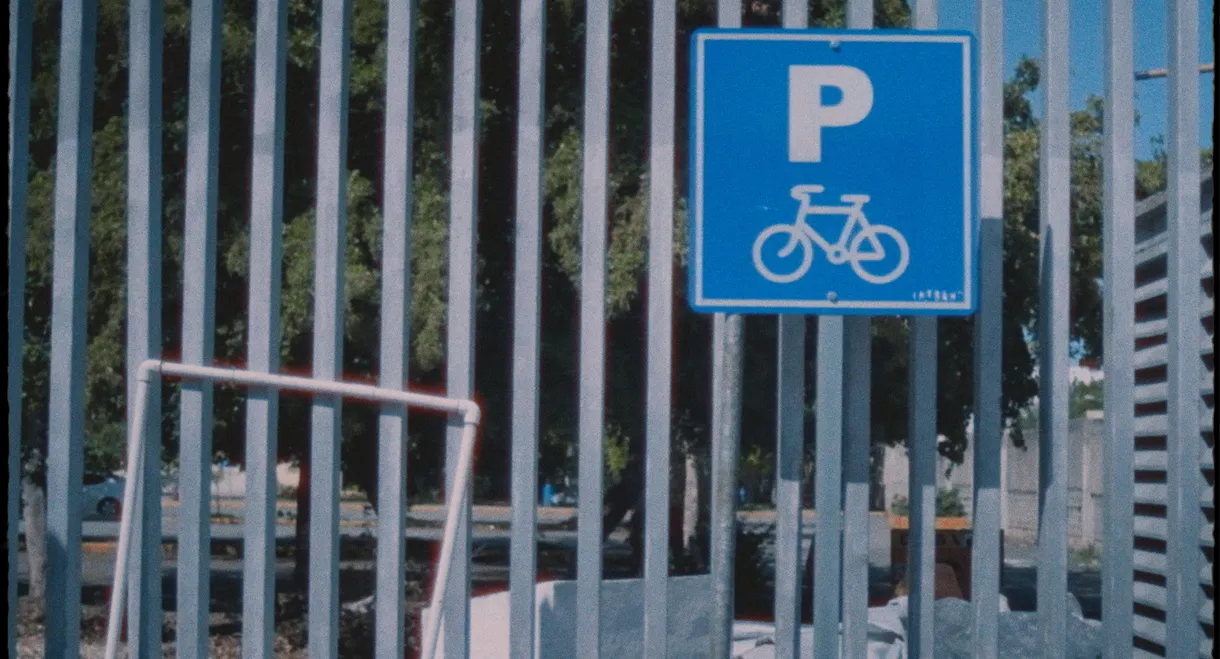 All the roads lead to the sea