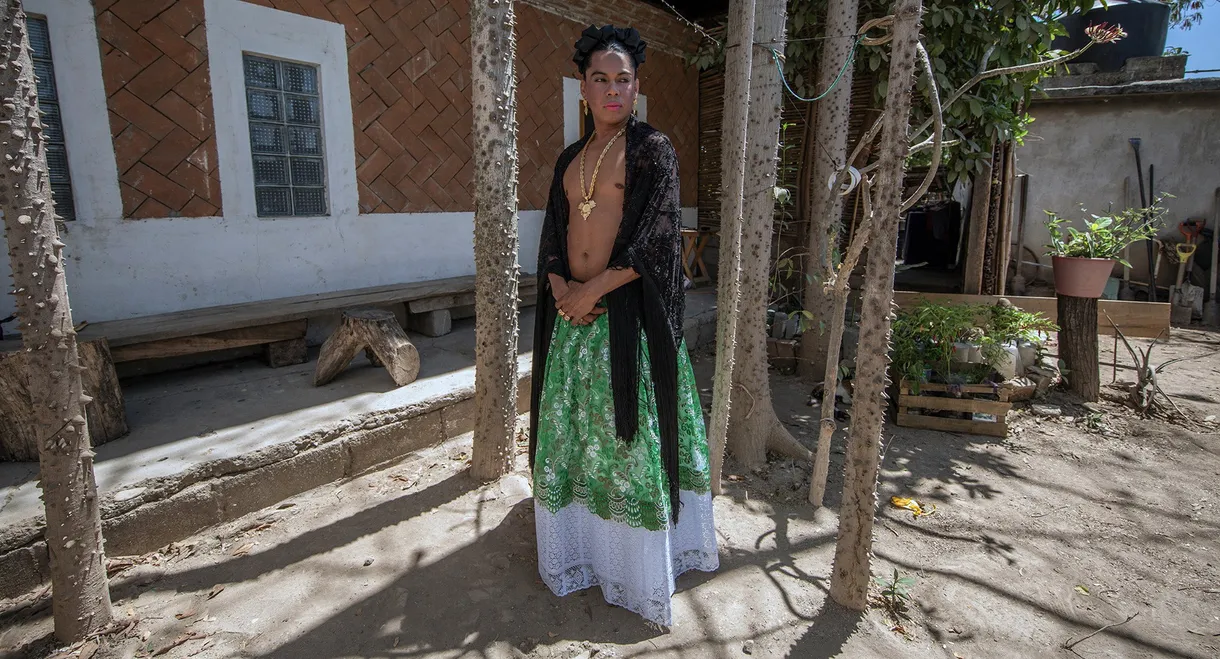 Butterfly’s Utopia