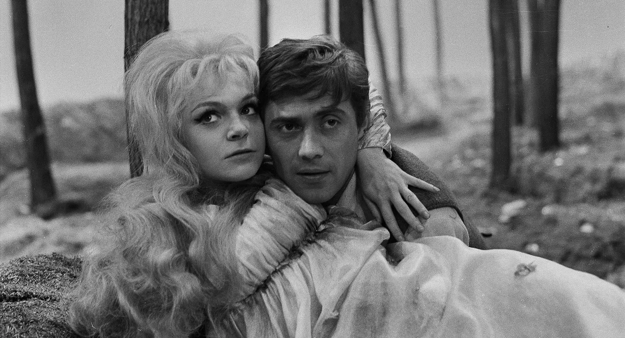 Princezna Pampeliška