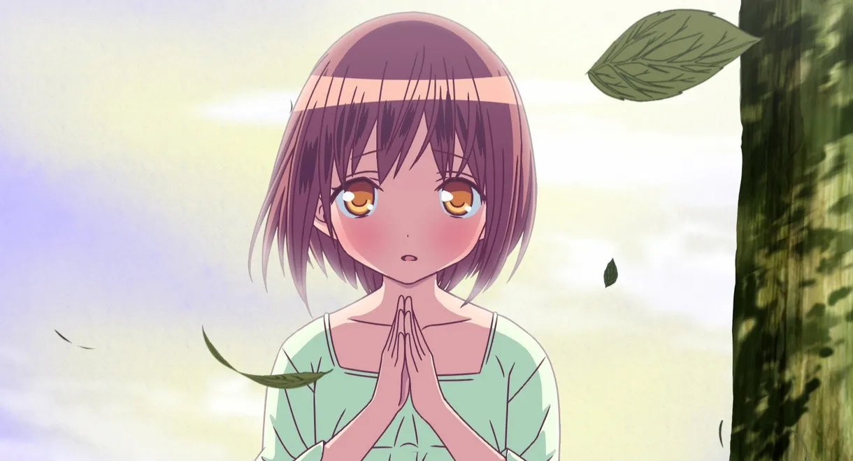 Momoiro Bouenkyou Anime Edition