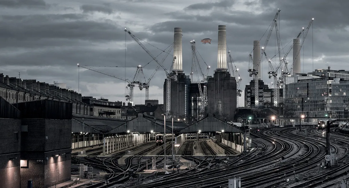 Pink Floyd: Animals (2018 Remix)