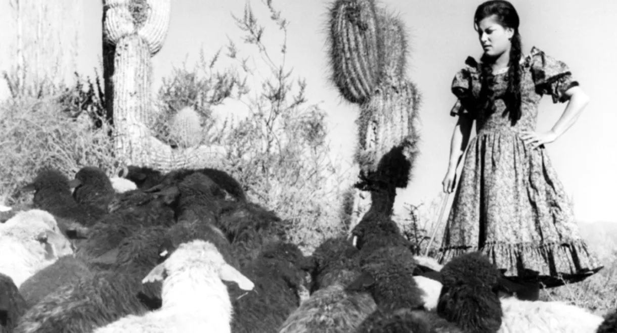 Mire que es lindo mi país