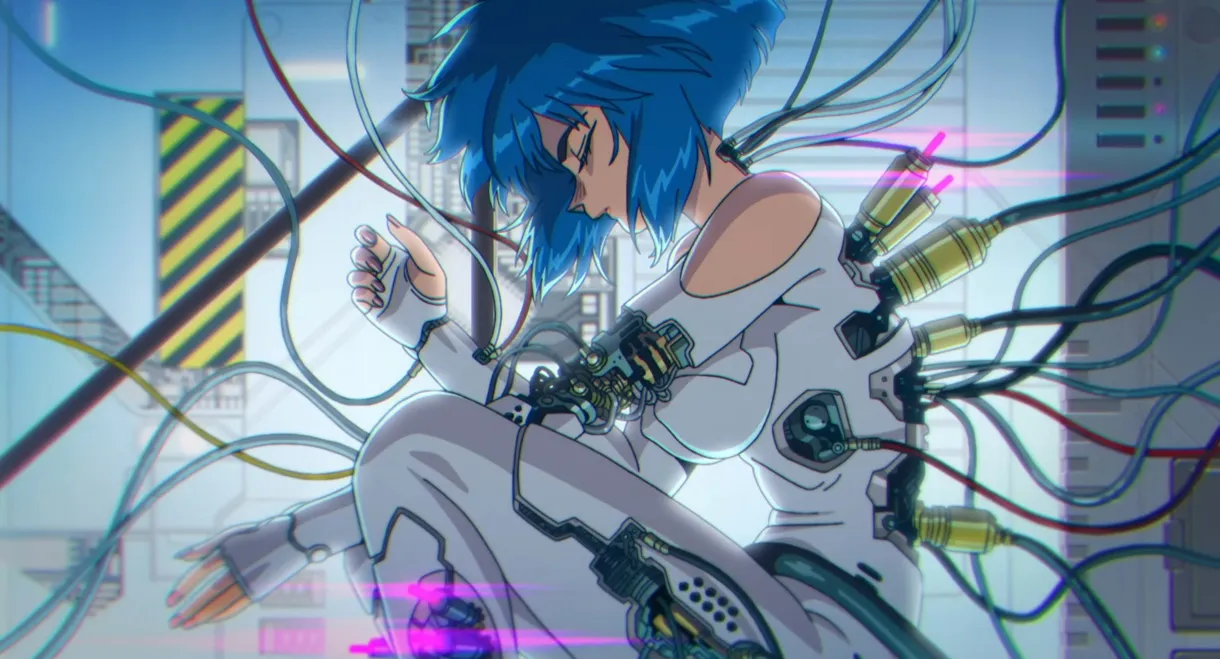 THE GHOST IN THE SHELL
