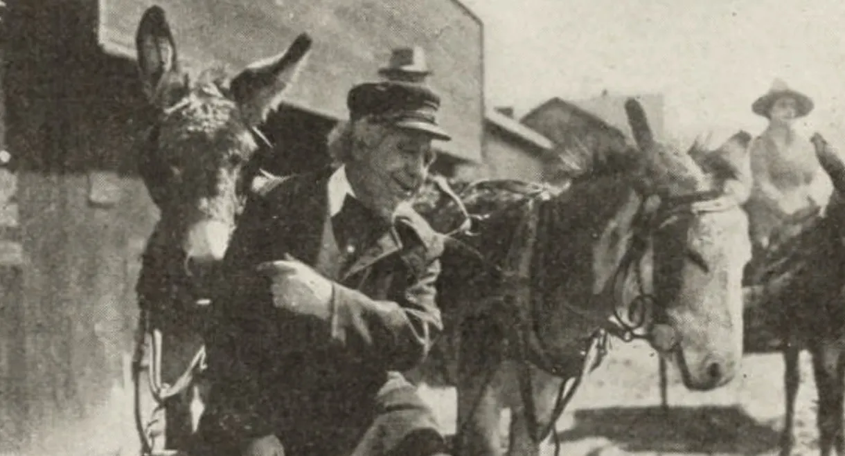 The Eye of the Night