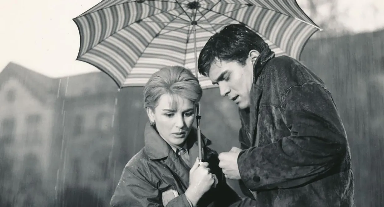 Martin in the Clouds