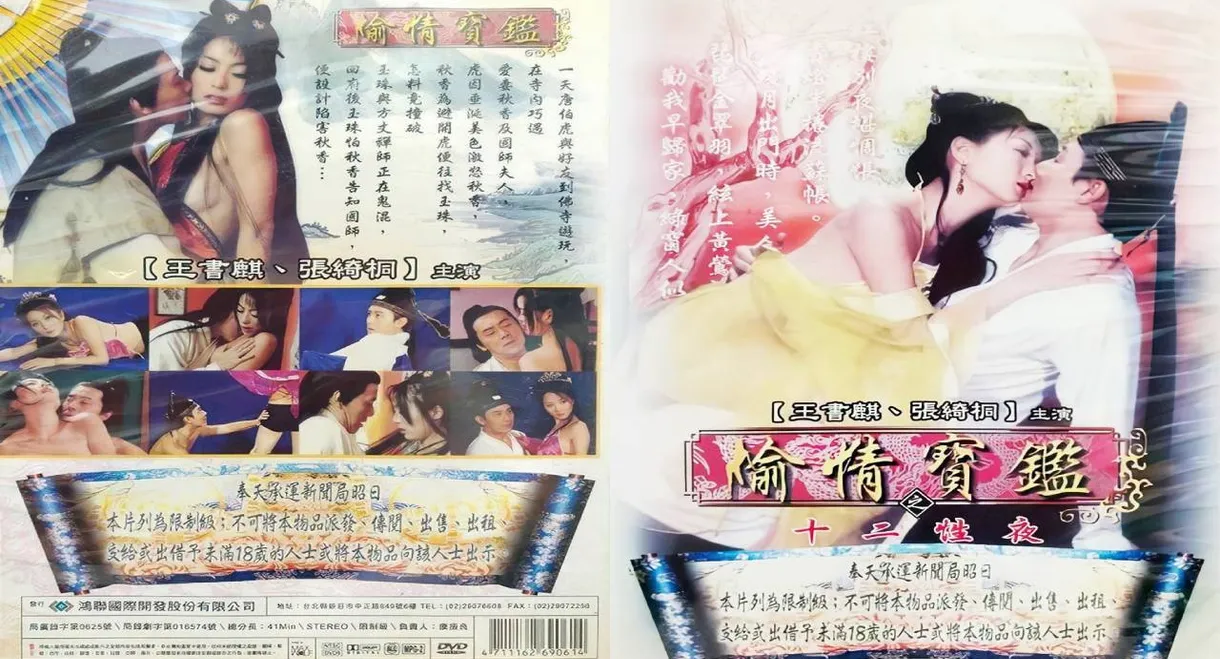 偷情宝鉴之十二性夜
