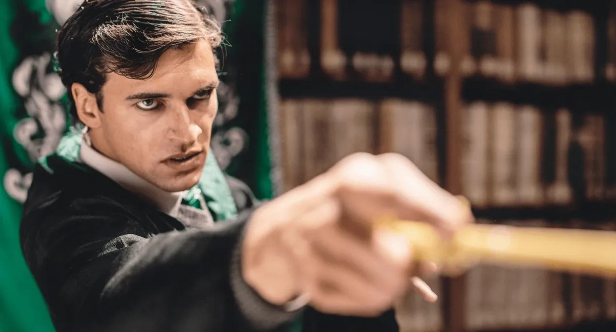 Voldemort: Origins of the Heir