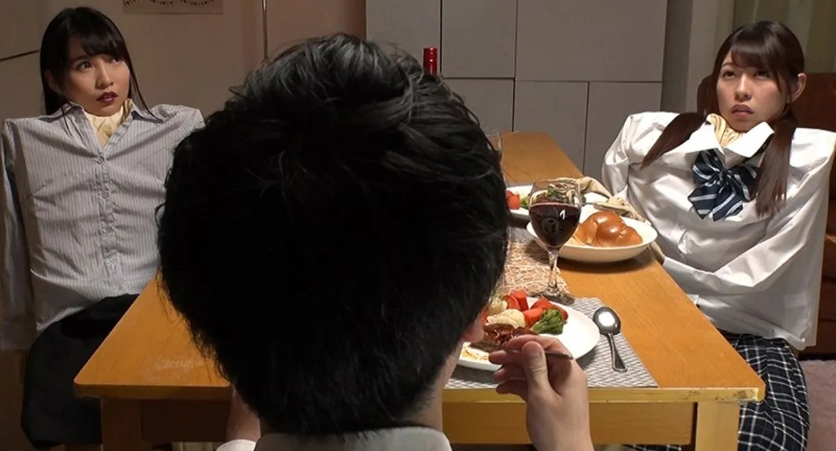 妄想アイテム究極進化シリーズ 女体化スキンダークサイド2～呪いの皮で悪堕ち～