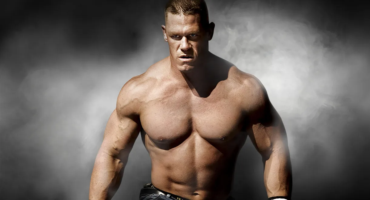 WWE Survivor Series 2008