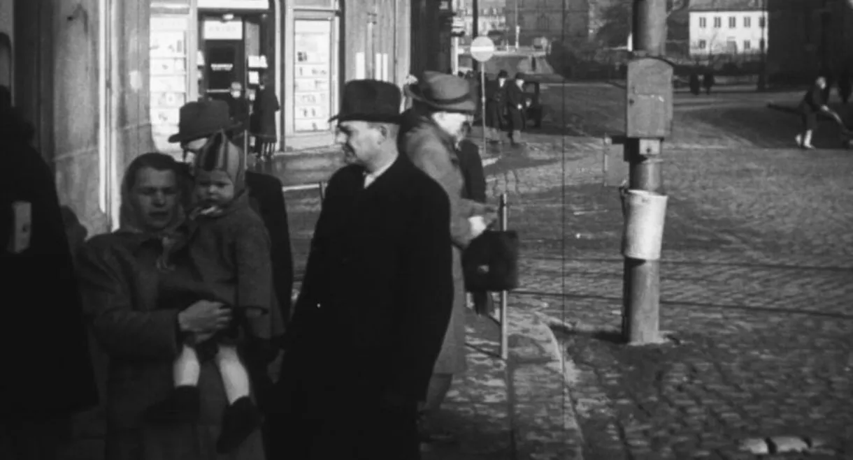 We Settle the Borderlands