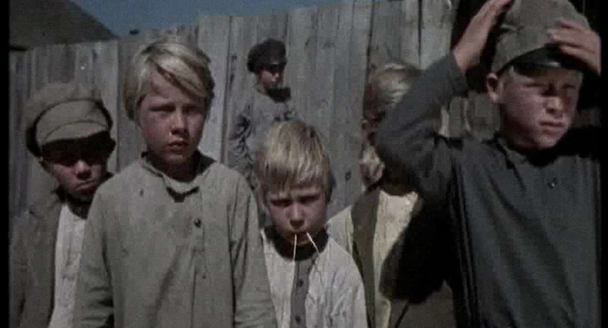 The Secret of the Green Forest