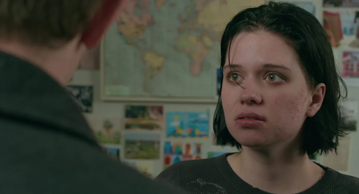 Spider in the Cupboard