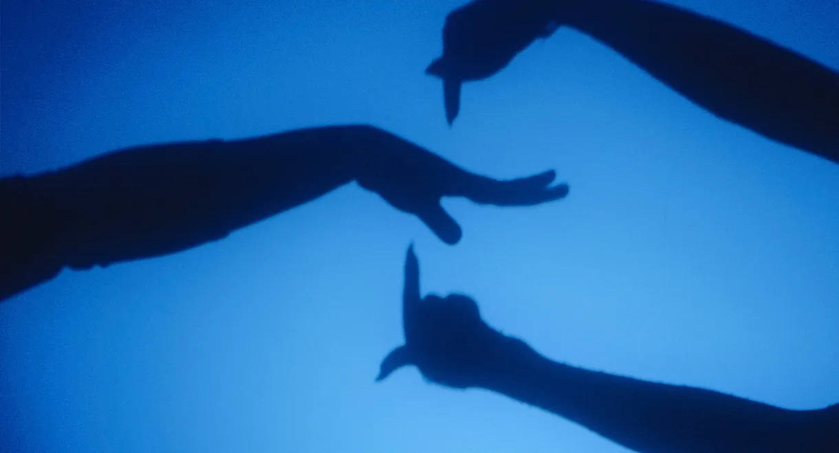 So You Wanna Vogue Huh?!