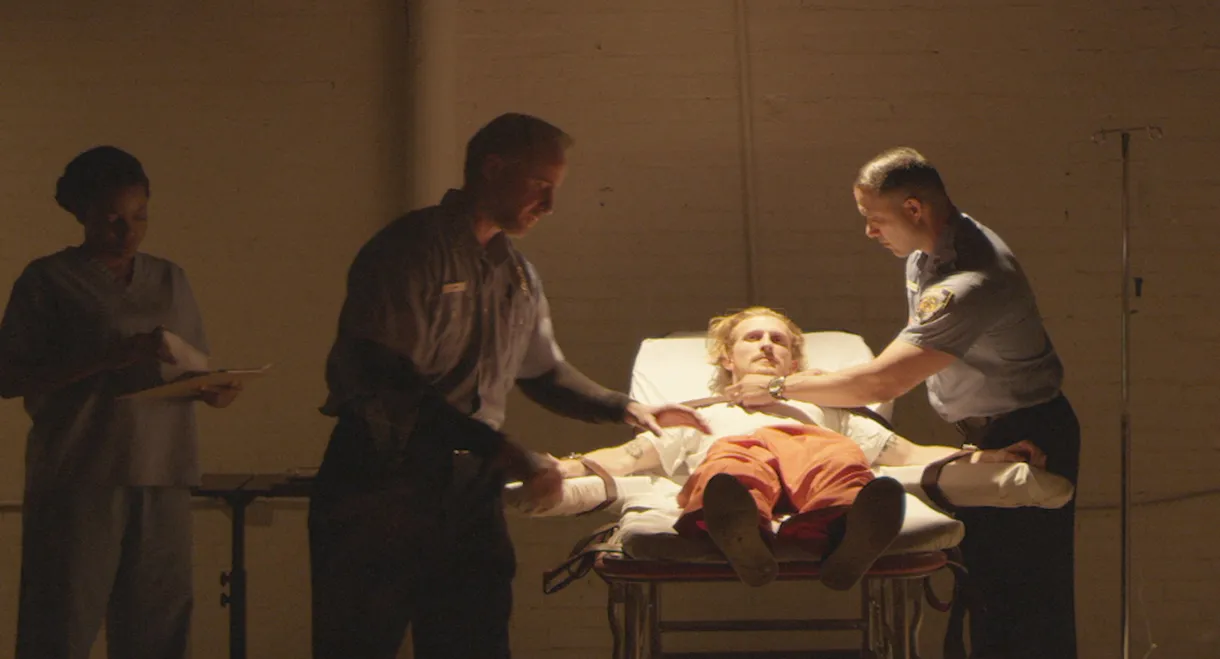 Putting the Dog to Sleep