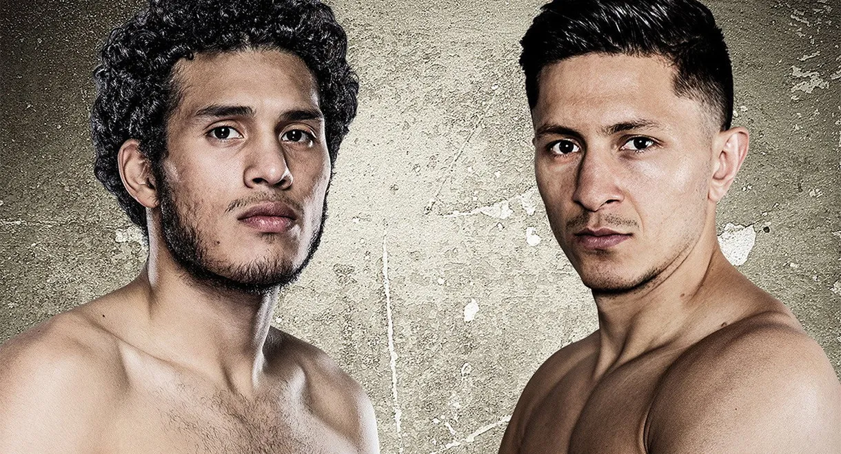 David Benavidez vs. Ronald Gavril