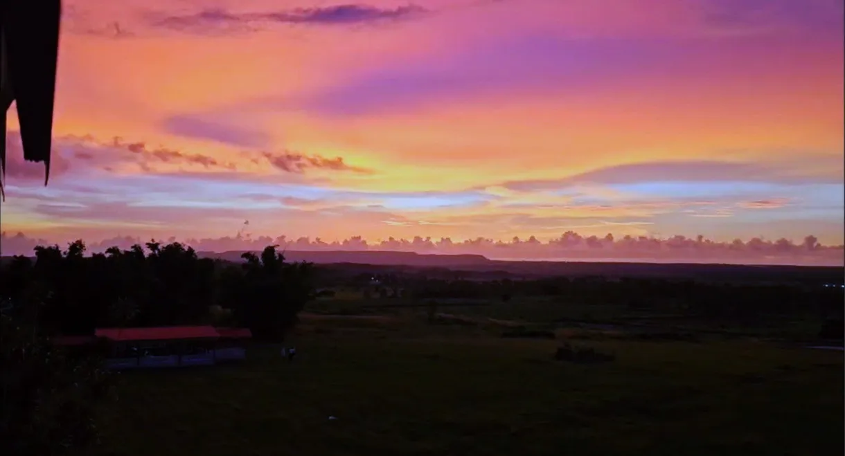 Para não ser levada por qualquer ventania