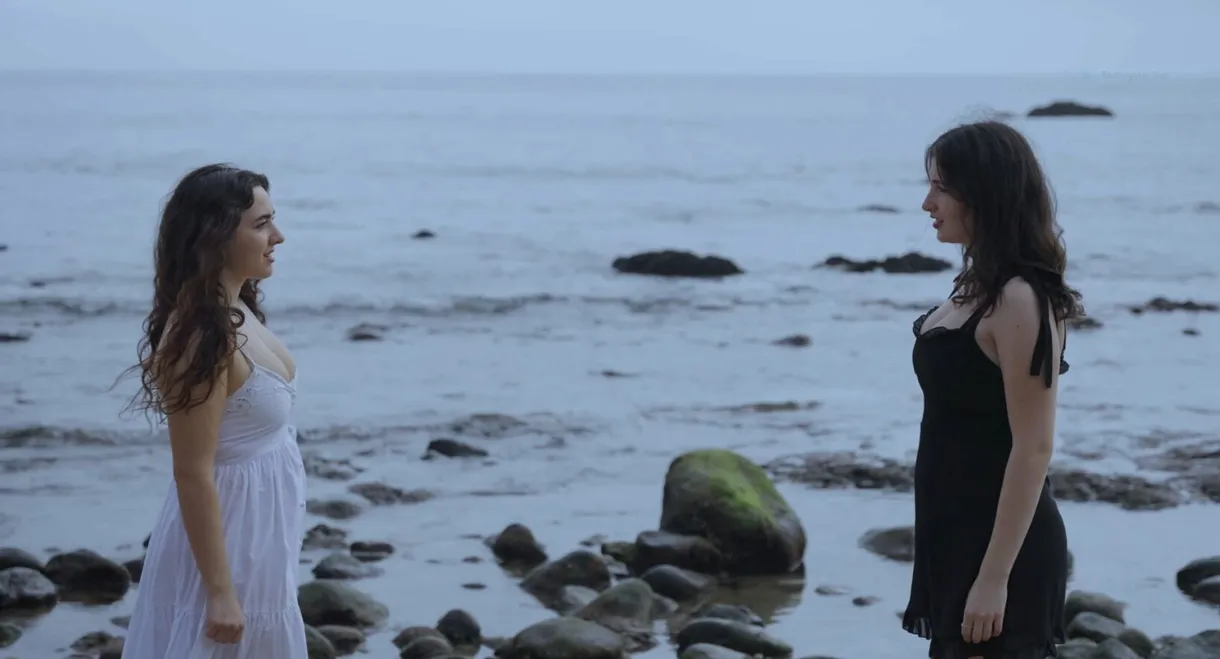 Visions Of Strangers