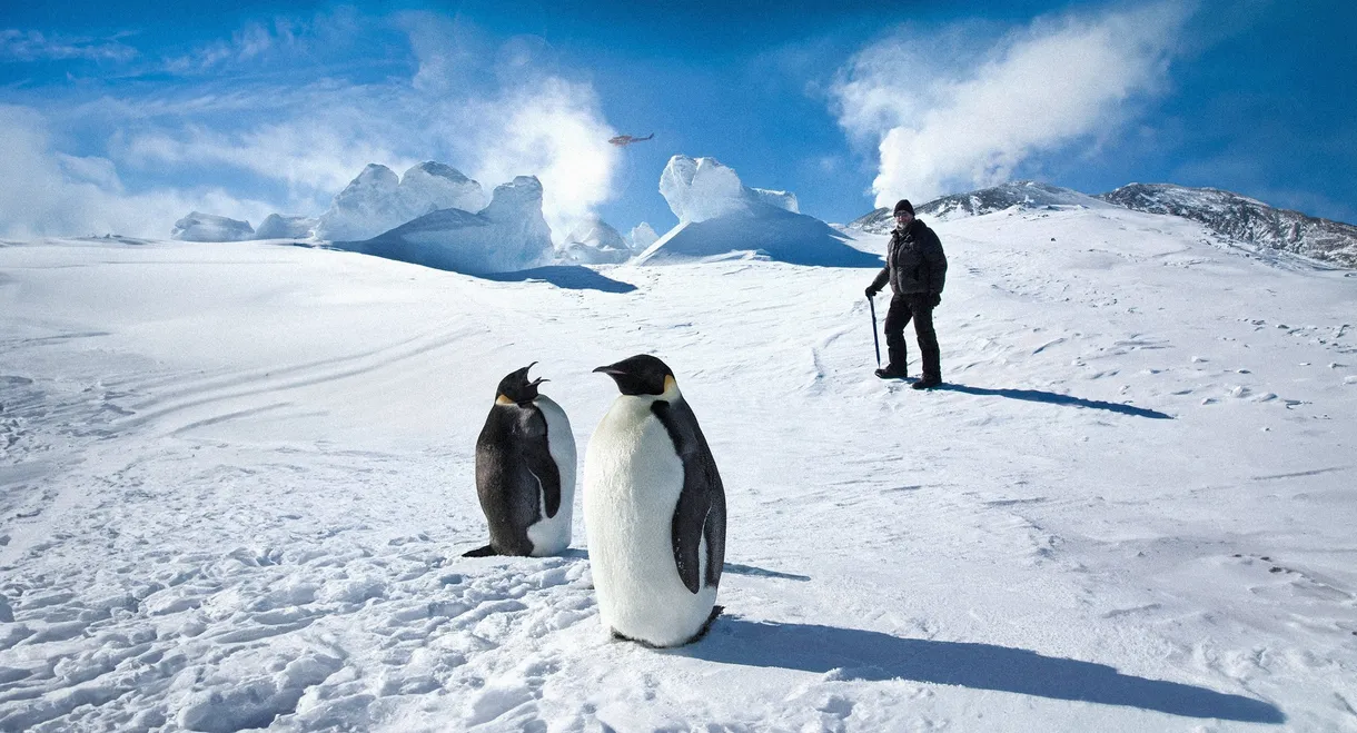 Antarctica: A Year on Ice