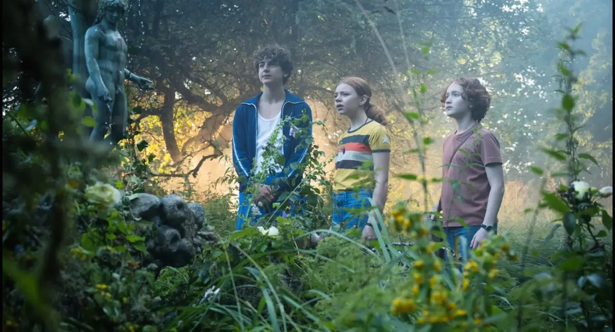 Tordyveln flyger i skymningen